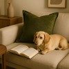 TopComfy Support Pillow Homey Cozy Velvet Throw Pillow with Deep Forest Green Shine for Elegant Decor, Green, 17"*17"*10" - 3 of 4
