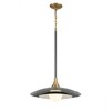 Eurofase Lighting Welsh 1 - Light Pendant in  Gray/Black - 3 of 3