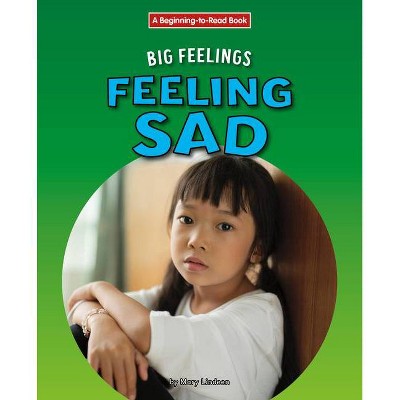 Feeling Sad - by  Mary Lindeen (Paperback)