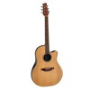 Applause AB24 Traditional Series Mid-Depth Acoustic-Electric Guitar - 2 of 2