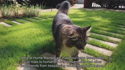 Homarden Transparent Outdoor Cat Repellent Scat Mat Set of 6