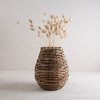 10.25" Capucine Natural Texture Decorative Accent Woven Vase - 2 of 4