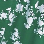tropical green white print