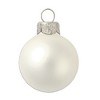 Northlight Matte Finish Glass Christmas Ball Ornaments - 2.75" (70mm) - Fish Silver - 12ct - 3 of 4