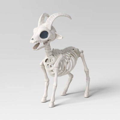 11" Goat Skeleton Halloween Decorative Prop - Hyde and EEK! Boutique™