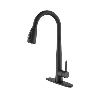Chery Life Kitchen Faucet with Pull Down Sprayer, Black