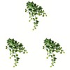 Vickerman Artificial Varigated Ivy Hanging Bush - 3 of 3