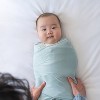 HALO Innovations Sleepsack Swaddle Supersoft Viscose from Bamboo - 2 of 4