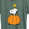 Women's - Peanuts - Snoopy Woodstock Pumpkin Short Sleeve Graphic T-Shirt - 2 of 4