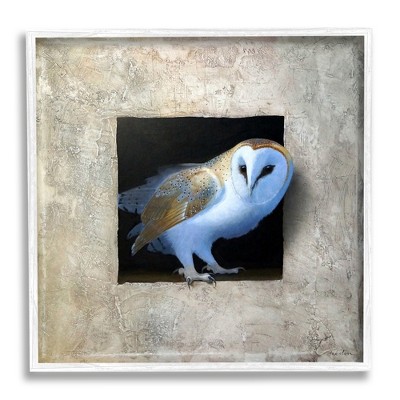 Stupell Industries Mysterious Barn Owl Peering Framed Giclee Art