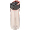 Contigo 32 Oz. Ashland 2.0 Tritan Water Bottle With Autospout Lid -  Licorice : Target