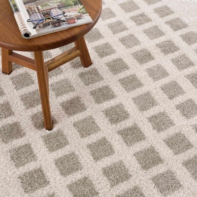 Hauteloom Baback Gray Washable Area Rug