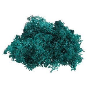 Unique Bargains Decoration Craft Artificial Plants Dried Preserved Reindeer Moss 4 OZ - 1 of 4