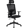 350-LB Ergonomic Mesh Office Chair – Adjustable Headrest, Lumbar Support, Flip-Up Arms - 2 of 4