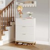 UbMelt Modern 31.5 Inch Shoe Cabinet with 3 Flip Drawers and Wall Mounted Coat Rack for Entryway,Hallway,Closet - 2 of 4