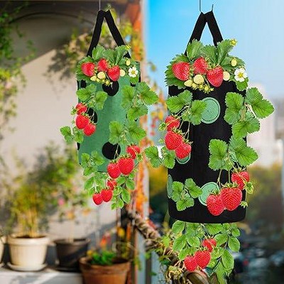 Multicolored Hanging Felt Strawberry Planter Set - 4 Pieces