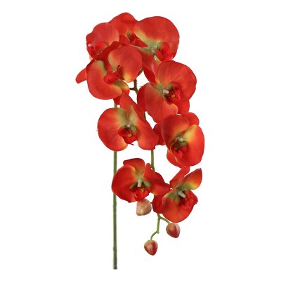Floral Home 33.5" Orange Phalaenopsis Stem with 9 Flowers - 12-Piece