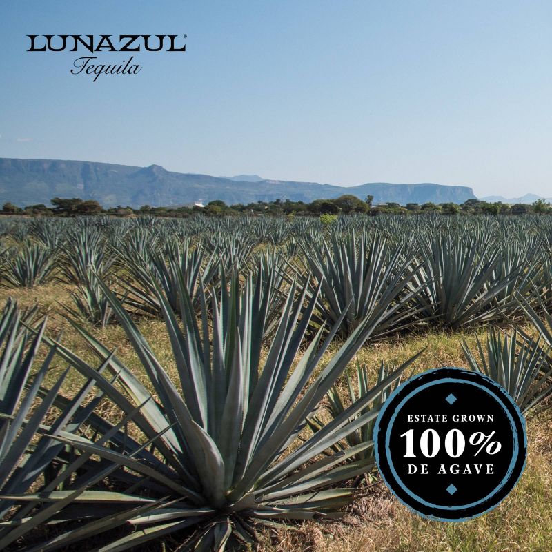 Lunazul Reposado Tequila - 750ml Bottle, 6 of 11
