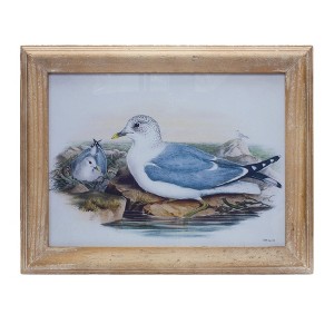 Framed Bird Print 13"H, Fir Wood Frame Under Glass Coastal Wall Decor by Melrose - 1 of 2