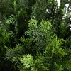Nearly Natural 5-ft Artificial Cedar Bush UV Resistant (Indoor/Outdoor) - 3 of 4