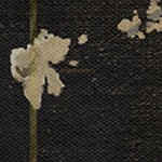 farmhouse gray