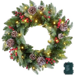 24 Inch Prelit Artificial Christmas Wreath, for Front Door with LED Lights, Pine Cones, Pine Needles, and Red Berries - 1 of 4