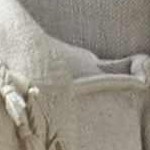 light brown, cream, aqua, light gray, black, sage