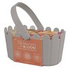 Buzzy Seeds Blossom and Bloom Fresh Cut Flower Garden Seed Kit - 4 of 4