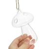 Unique Bargains Hydroponic High Borosilicate Glass Decorative Transparent Collectible Figurines 2 Pcs - 3 of 4