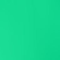 shamrock forest plain