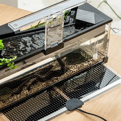 Small Betta Fish Tank, 2.5 Gallon Acrylic Aquarium Tank Kit with Filter and Light, Desktop Small Landscape Ecological