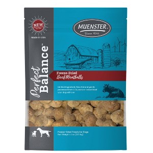 Muenster Perfect Balance Beef Flavor Freeze Dried Dog Treats - 4oz - 1 of 4