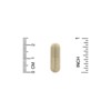 Divine Health Dr Colbert M.D. Thyroid Zone, 90 Veggie Capsules - 3 of 3