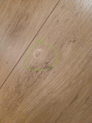 Guest review image 5 of 6, zoom in