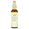 Bach Original Flower Remedies, Hornbeam, 0.7 fl oz (20 ml) - 4 of 4