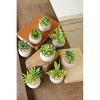 Small Faux Succulents with Round Cement Pots – 2.25" Modern Decorative Greenery (2 X Set of 8) by Kalalou - 3 of 3
