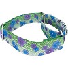 Country Brook Petz 1 1/2 Inch Martingale Dog Collar - Spring Collection - 4 of 4