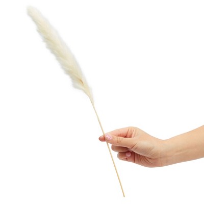 17-inch Beige Dried Pampas Grass for Rustic Farmhouse Decor