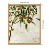 Amanti Art Kumquat Tree by Jodi Maas Canvas Wall Art Print Framed 16 x 20-in. - 4 of 4