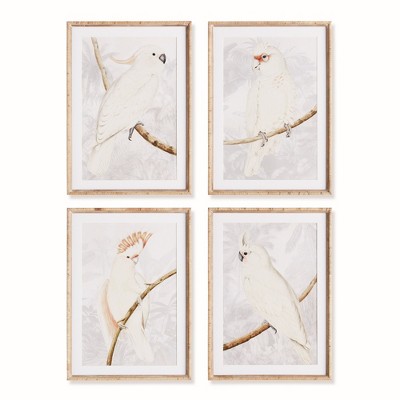 Plum & Post 19.5"W x 1"D x 27.5"H White Cockatoo Prints Framed Wall Art Set of 4