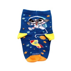 Astronaut Panda in Space Socks - from the Sock Panda - 1 of 3