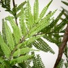 Sullivans Artificial 62" Life-Like Fern Tree, Green - 2 of 4