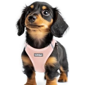rabbitgoo Small Dog Harness, Step-in Soft Mesh Puppy Vest with Safety Buckle, Breathable Reflective Pet Harness for Extra Small Dogs, Pink XXS - 1 of 1