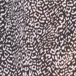 black mini leopard