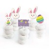Big Dot of Happiness Hippity Hoppity - Dessert Cupcake Toppers - Easter Bunny Party Clear Treat Picks - Set of 24 - 2 of 4