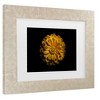 Trademark Fine Art - Brian Carson Backyard Flowers 58 Matted Framed Art - image 3 of 4