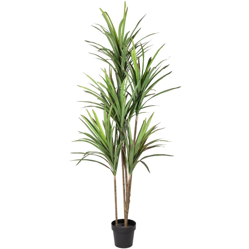 Northlight Real Touch™️ Green Artificial Dracaena Marginata Plant in Black Pot - 5.5', 1 of 8