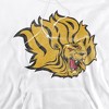 University of Arkansas at Pine Bluff Official Distressed Primary Adult Pull-Over Hoodie - 2 of 4
