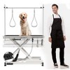 Electric pet grooming table, 110V/220V professional groomer recommend - 2 of 4