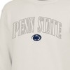 NCAA Penn State Nittany Lions Men's Crew Neck Fleece Sweatshirt - 3 of 3